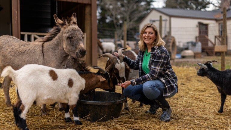 Animal Sanctuary Kimberly Dunckel
