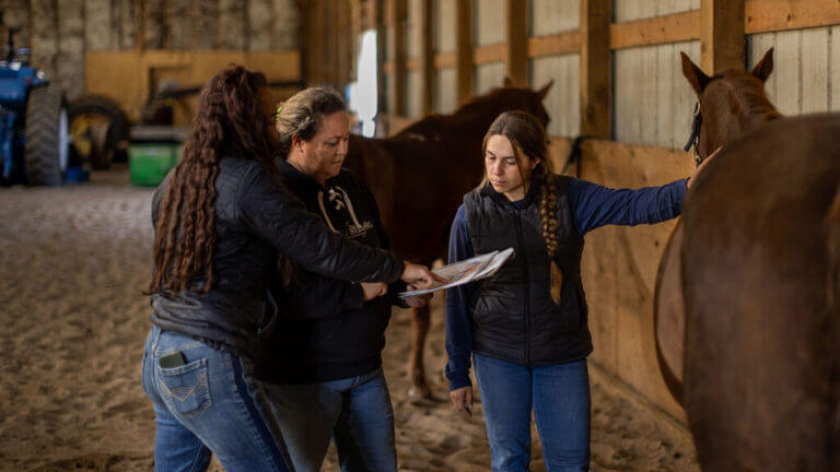 horse-massage (1)